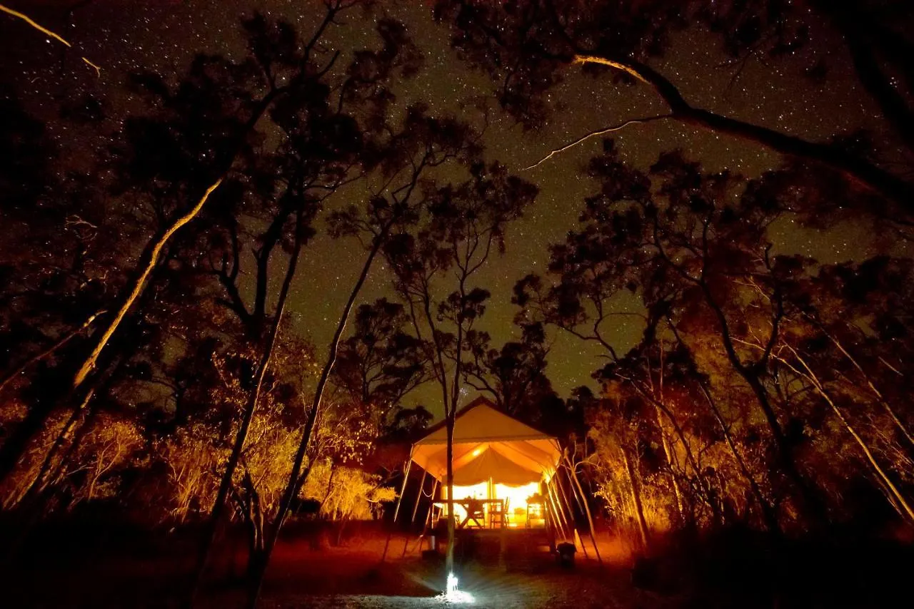 Wild Nature Lodge, Mareeba Wetlands Biboohra 豪华帐篷