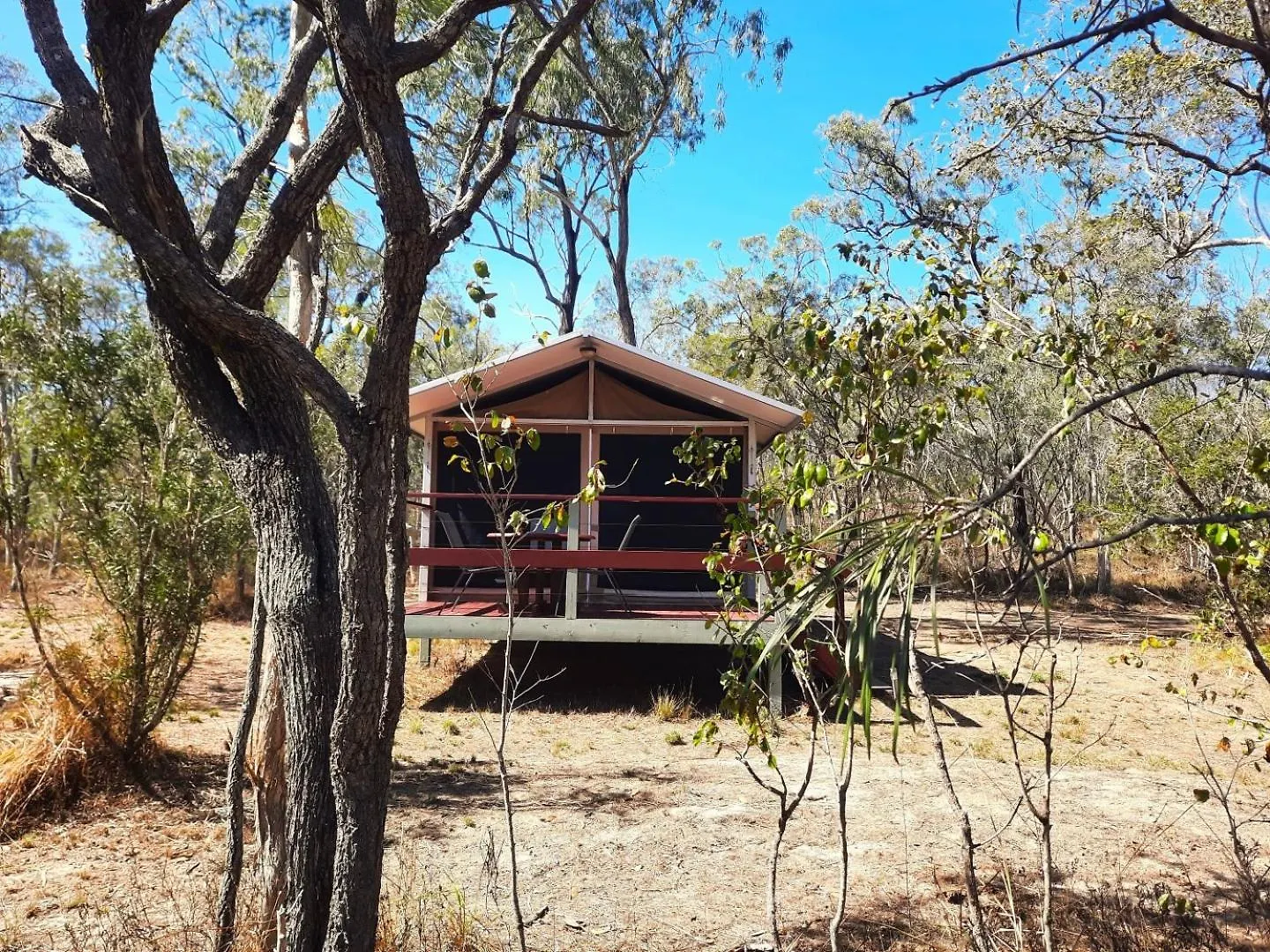Wild Nature Lodge, Mareeba Wetlands Biboohra Tente de luxe